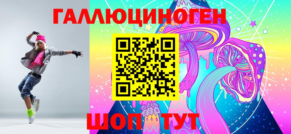 купить наркотики сайты  Вход с VPN  Псилоцибиновые грибы Psilocybine cubensis  Шатура  Псилоцибиновые грибы мицелий 